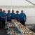 7 mai 2016: les équipages des Voiles d'Estuaire — photo 5